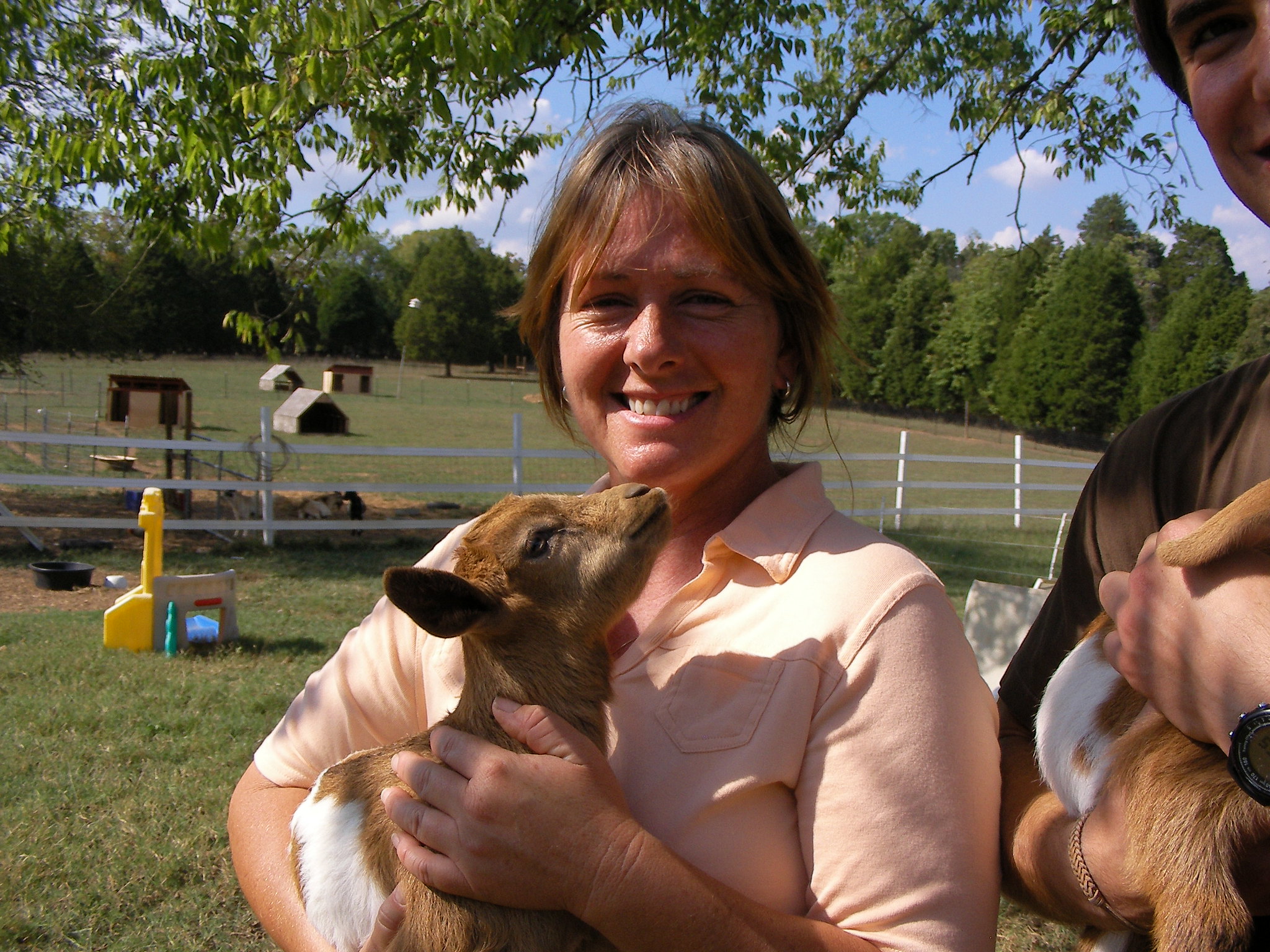 linda harrison fainting goat rancher
